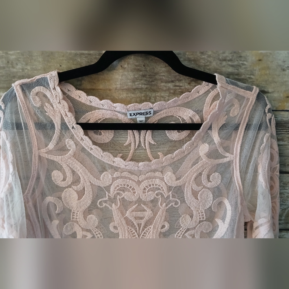 Express Pink Lace Long Sleeve Blush Pink Women Top, Sheer - Picture 7 of 14